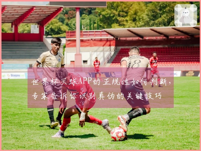 世界杯买球APP的正规性如何判断，专家告诉你识别真伪的关键技巧